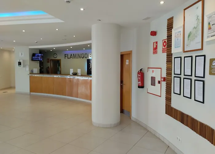 Grupotel Flamingo アパートホテル